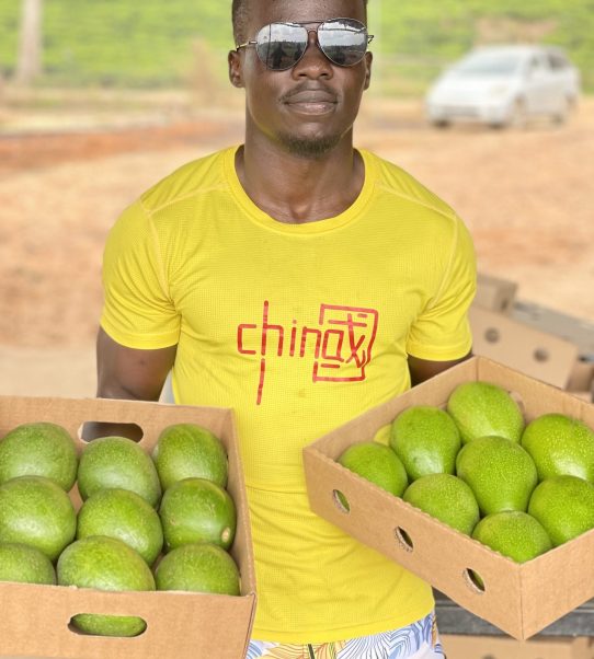 About Avotein Farms